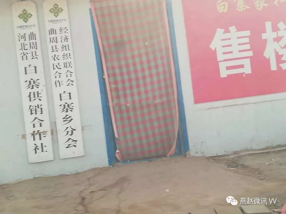 曲周县白寨镇，最新发展动态与消息