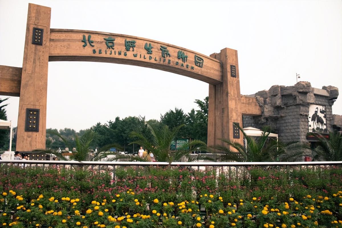 大学生来了最新一期，青春活力，探索无限