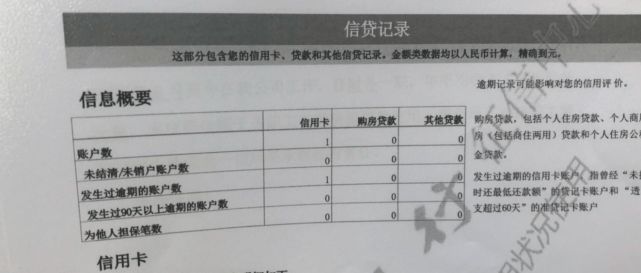 大洋路搬迁最新消息，进展、影响与展望