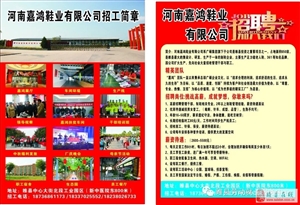 睢县招聘网最新招聘——探寻职业发展的无限可能