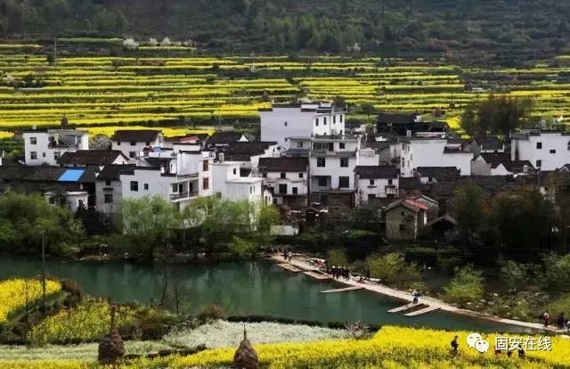 焦点 第47页