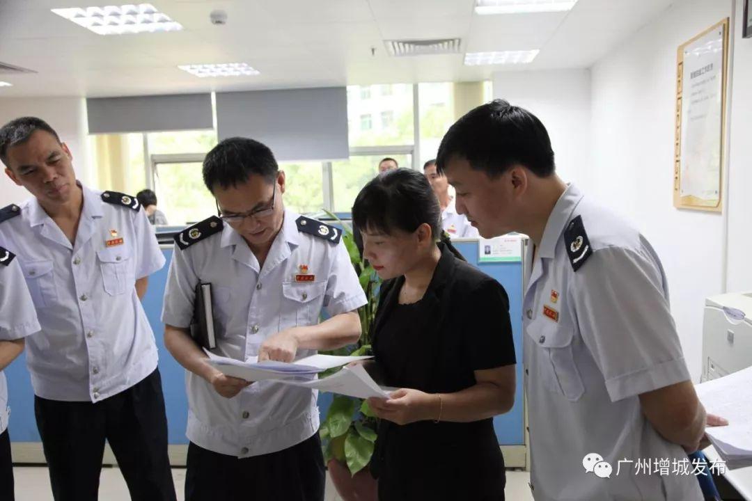 地税机构改革最新消息，迈向更高效、更公正的未来