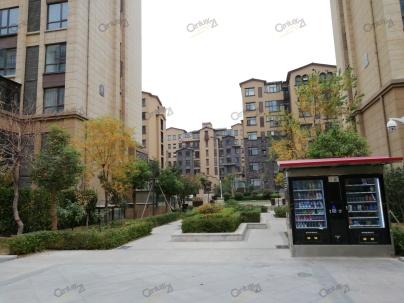 焦点 第39页