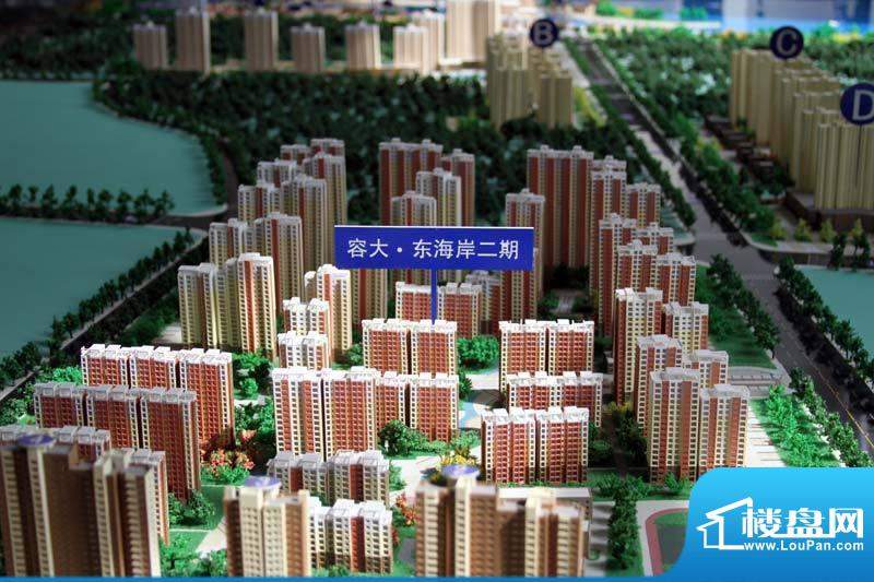 容大东海岸最新消息，引领未来的海滨发展蓝图