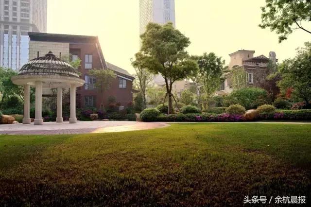 临平山北最新政策引领区域发展新篇章