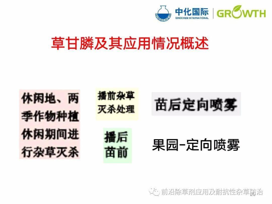 探索最新技术，水稻除草剂的发展与演变——以十六年最新水稻除草剂为例